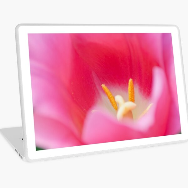 dream atmosphere Laptop Skin