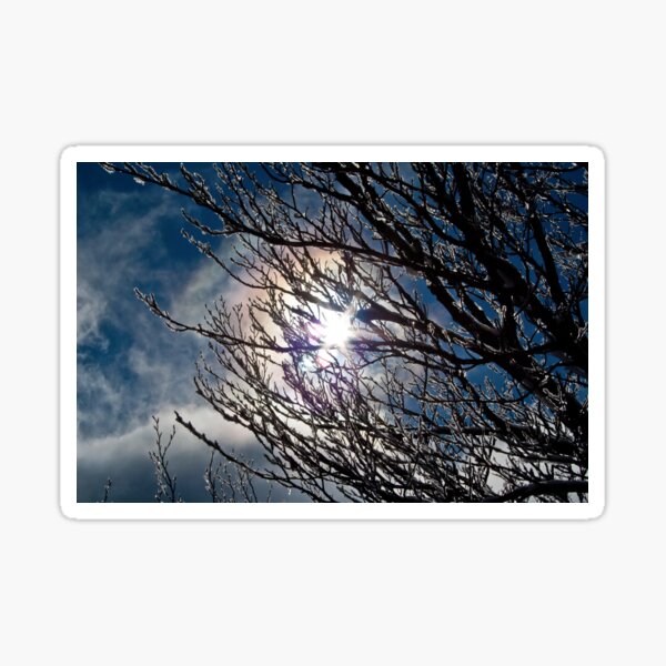 winter reflections Sticker