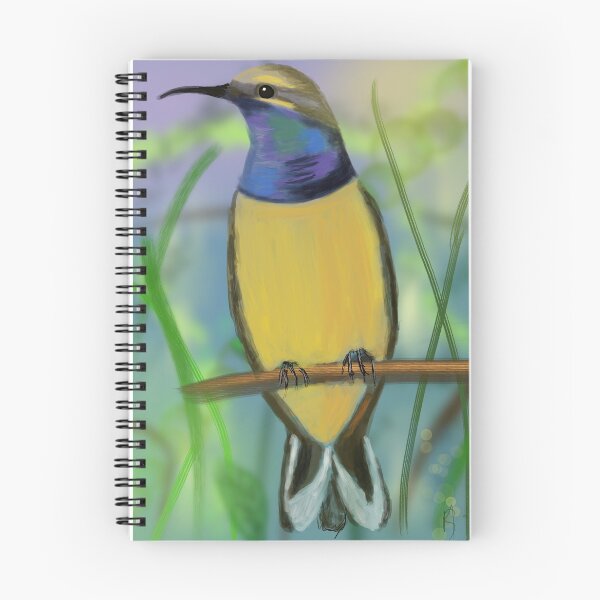 Item preview, COLIBRI designed and sold by Soualigua.