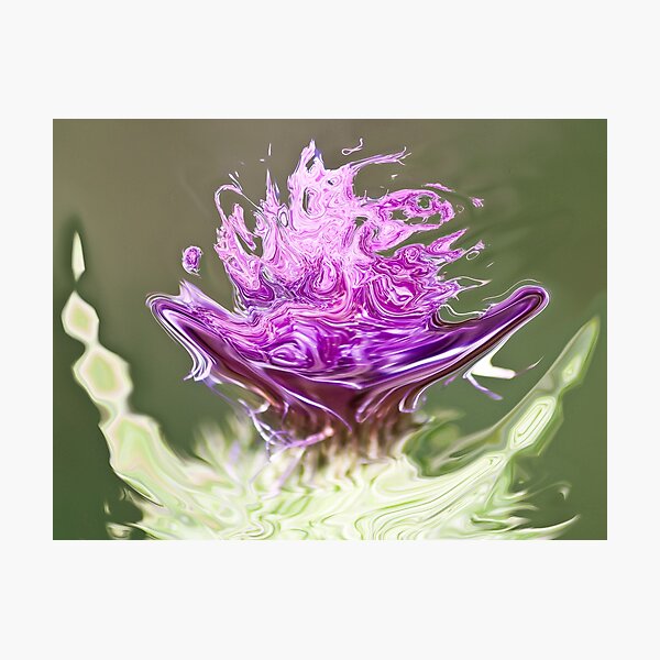 lilac shades Photographic Print