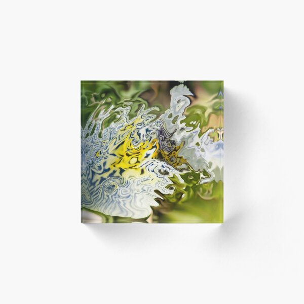 fluctuation Acrylic Block
