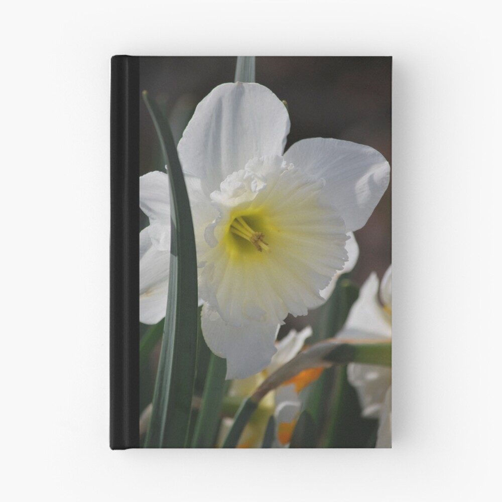 Item preview, Hardcover Journal designed and sold by lozzar.