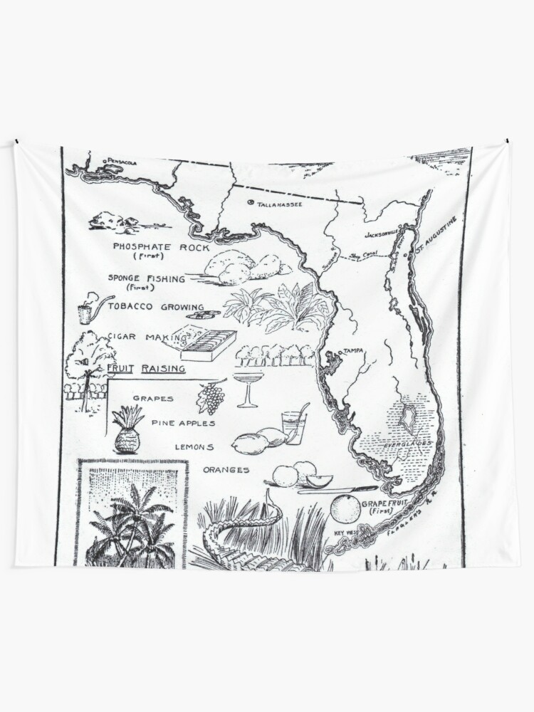 "Vintage Map of Florida (1912)" Tapestry by BravuraMedia  Redbubble