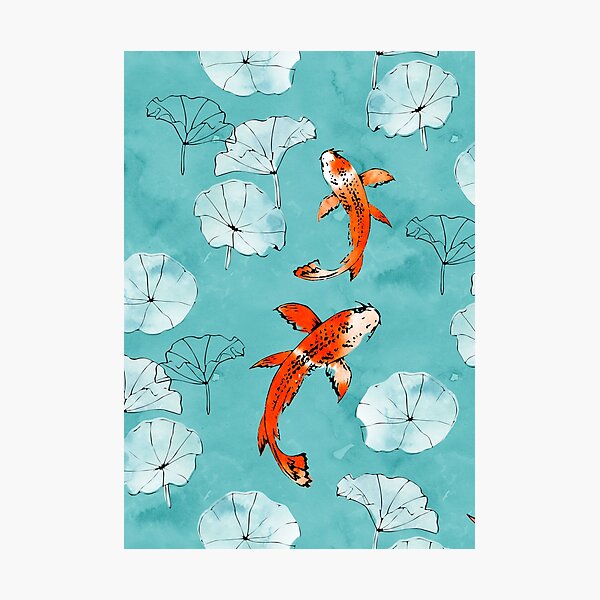 Waterlily koi in turquoise Photographic Print