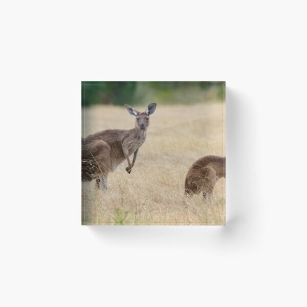 Item preview, Australian Icons designed and sold by dilouise.