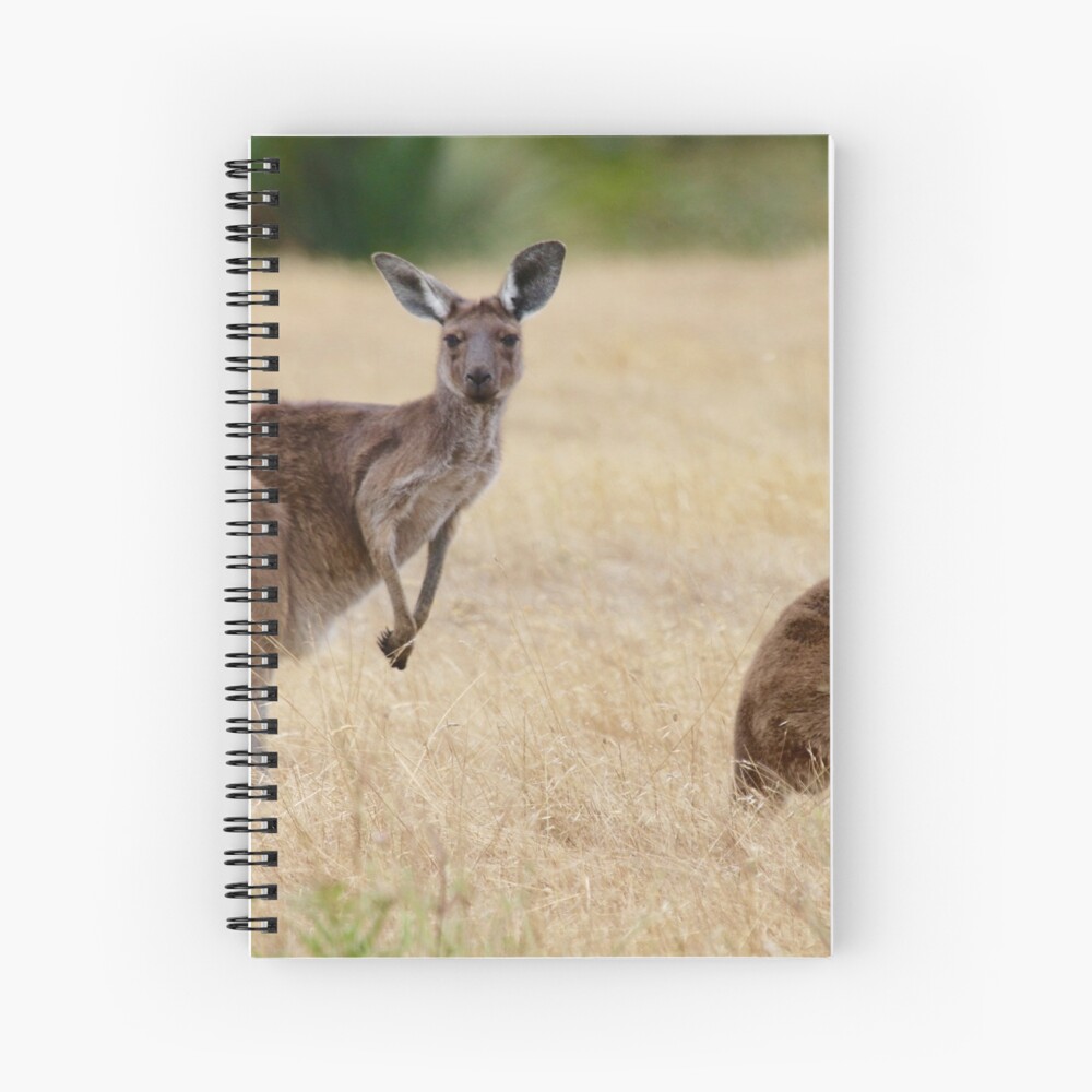 "Australian Icons" Spiral Notebook by dilouise Redbubble