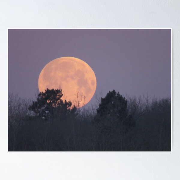 Item preview, Supermoon Setting over Trees on February 19, 2019 designed and sold by Debbie Center.