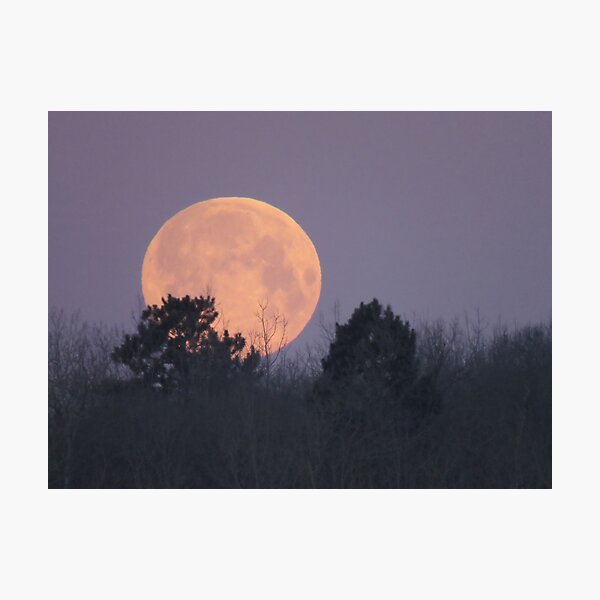 Item preview, Supermoon Setting over Trees on February 19, 2019 designed and sold by Debbie Center.