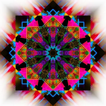 Artwork thumbnail, Hua by Elizabeth Austin-Craig