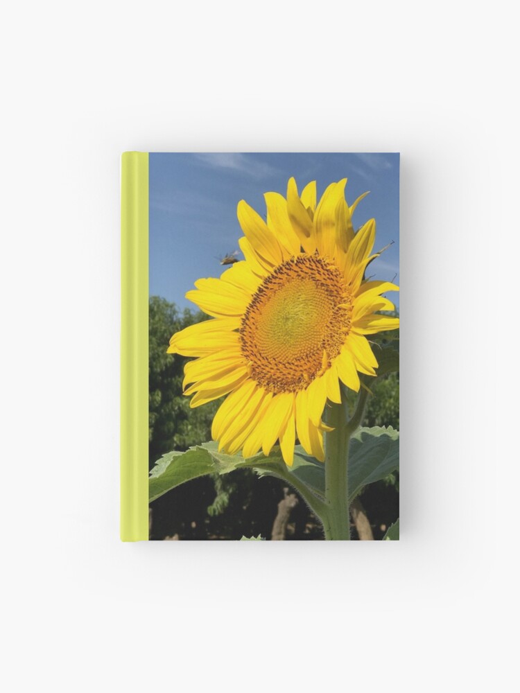 Cuaderno de tapa dura «Girasol único disfrutando del calor del sol» de  2CrabbySisters | Redbubble
