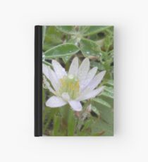 Wässrige Krone der Windblume Notizbuch