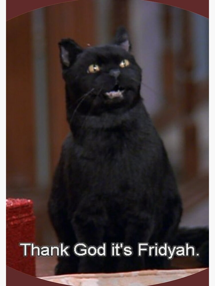 Salem Saberhagen - Wikipedia