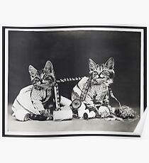 Póster Gatitos Rigolos