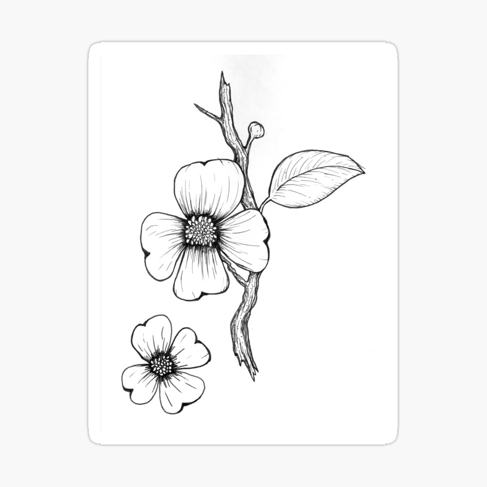 Với hình vẽ Hand drawn dogwood flower, bạn sẽ được thưởng thức những tác phẩm đẹp đã được vẽ tay hết sức tỉ mỉ và tinh tế. Hãy khám phá những hình ảnh với tông màu nhẹ nhàng và sự tinh tế của những bộ phận hoa để tận hưởng trọn vẹn nét đẹp của hoa.