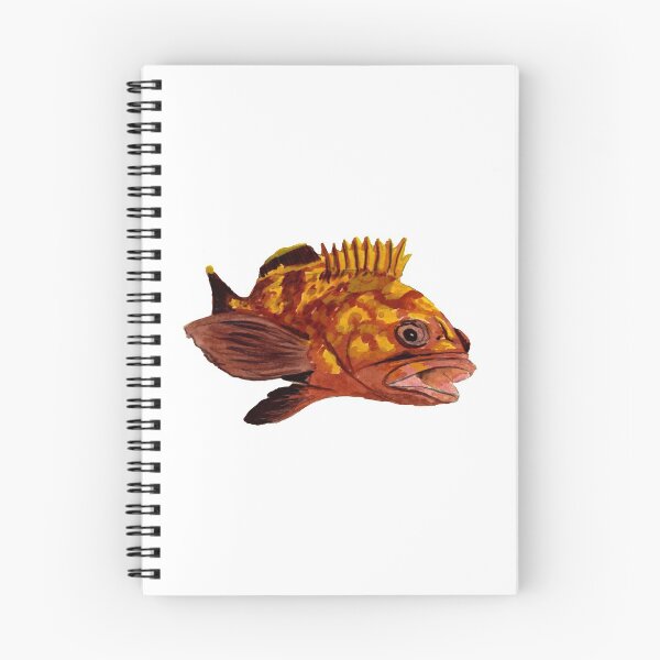 Item preview, grouper - fish designed and sold by Zamen.