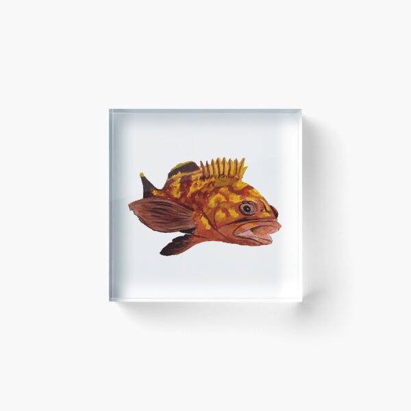 Item preview, grouper - fish designed and sold by Zamen.