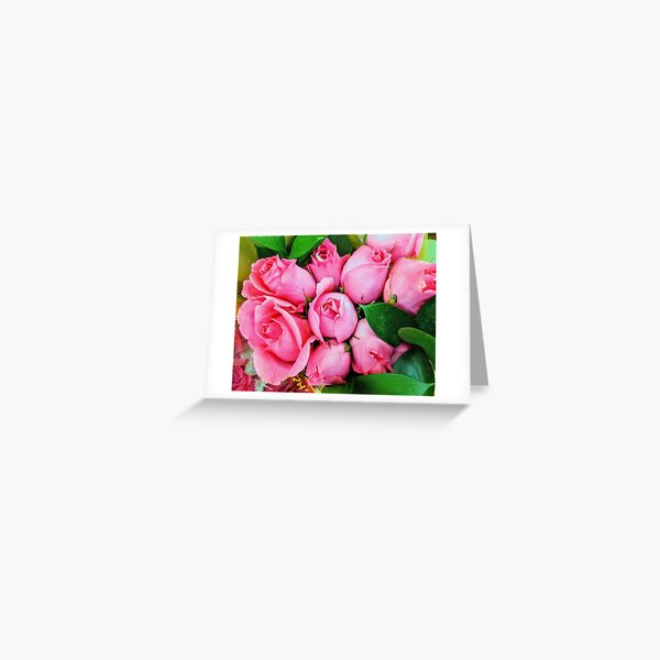 Pink Roses Birthday Fine Art Greeting Card Free Shipping