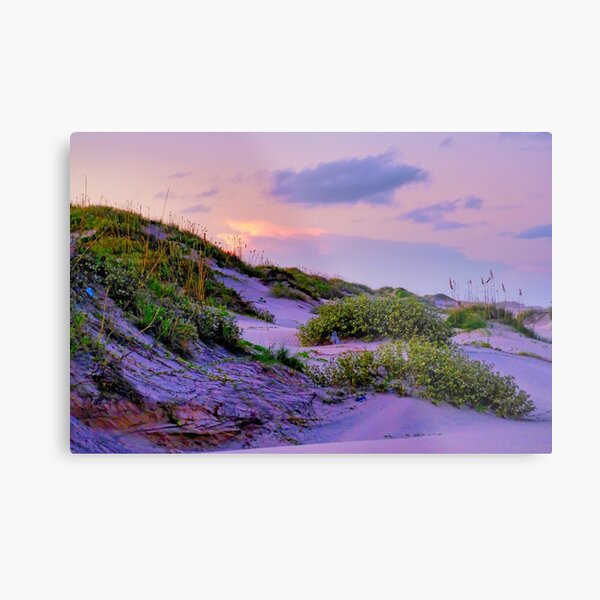 South Padre Island National Park Metal Print