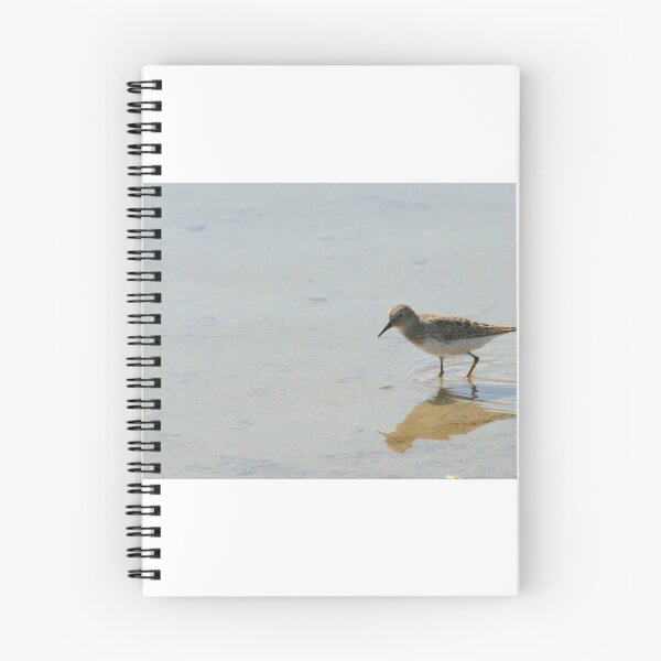 Item preview, Little speckled shorebird designed and sold by RichImage.