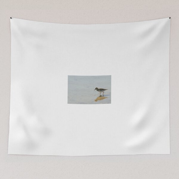 Item preview, Little speckled shorebird designed and sold by RichImage.