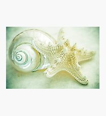 Under the Sea Photographic Print