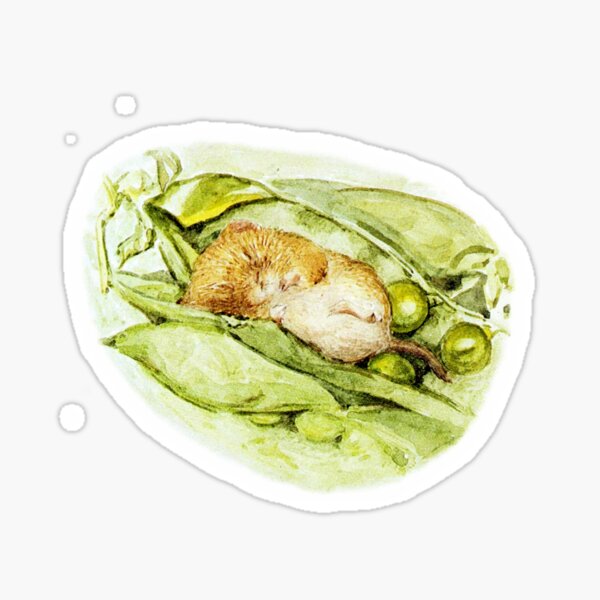 Item preview, Beatrix Potter - Timmy Willie Fell Asleep designed and sold by forgottenbeauty.