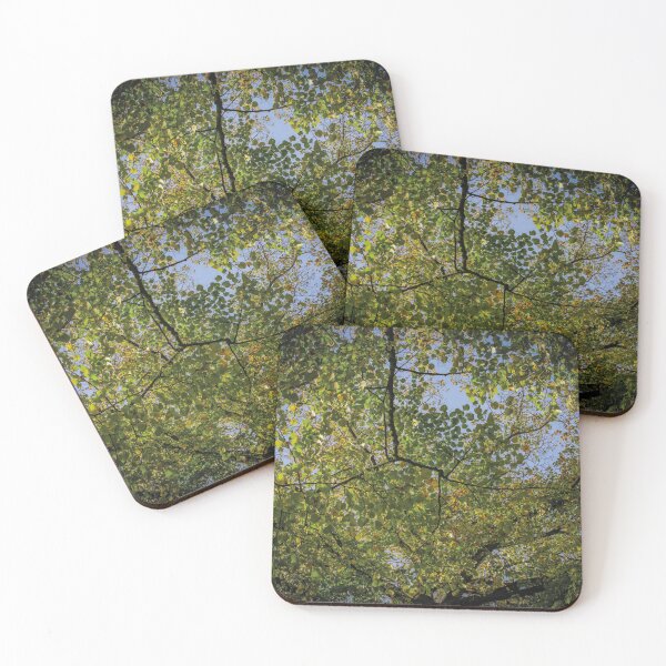 Item preview, Autumn foliage designed and sold by Arc1.