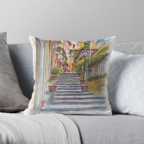 https://ih1.redbubble.net/image.75440927.7555/throwpillow,small,600x-bg,f8f8f8-c,0,120,600,600.jpg