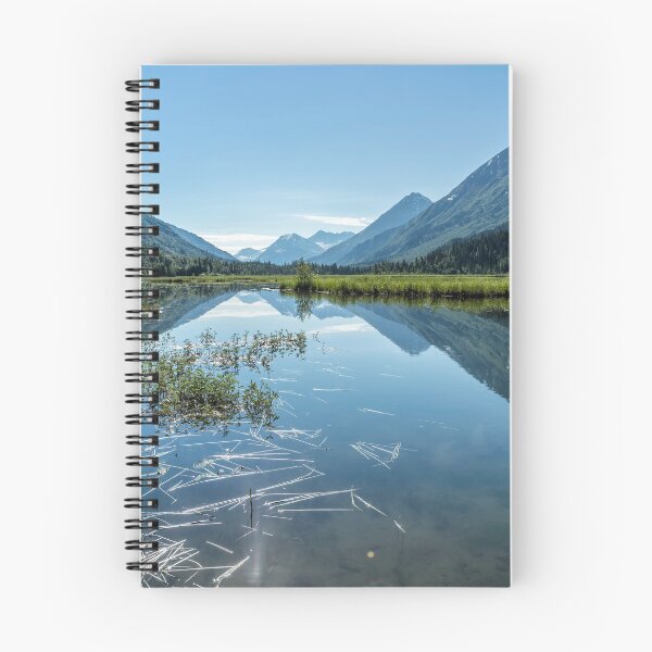 Item preview, Reflections on Tern Lake designed and sold by Belinda Greb Photography.