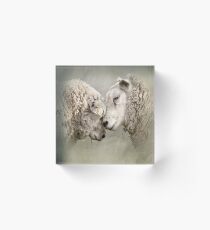 The Couple Next Door Acrylic Block