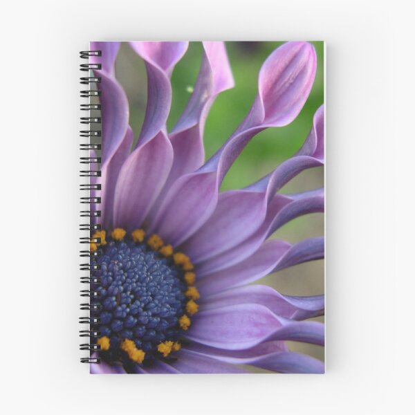 Item preview, Hermosas flores, margarita africana, flor morada. designed and sold by cherfas.