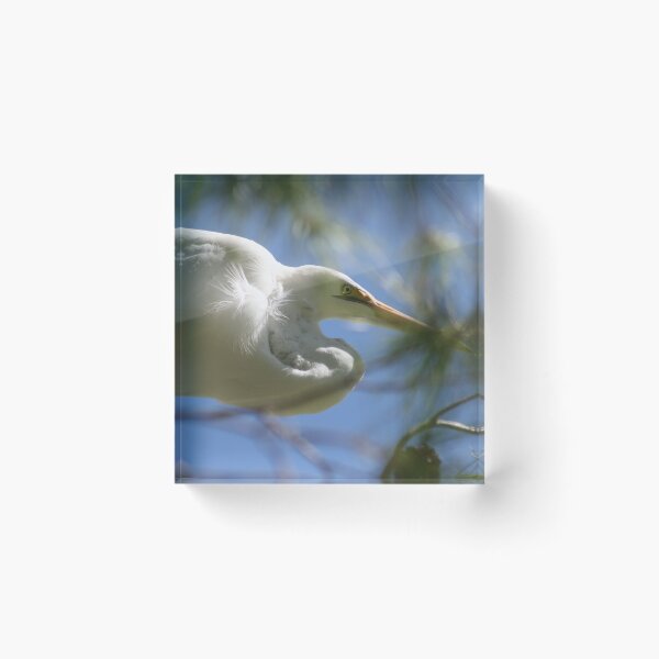 Item preview, Egret designed and sold by RichImage.