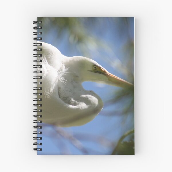 Item preview, Egret designed and sold by RichImage.