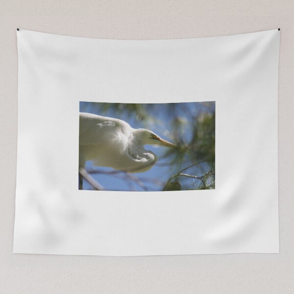 Item preview, Egret designed and sold by RichImage.