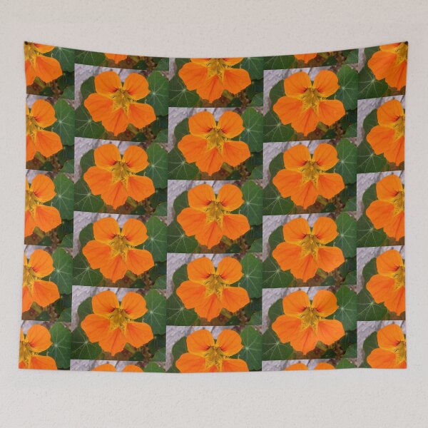 Item preview, Nasturtium designed and sold by Shulie1.