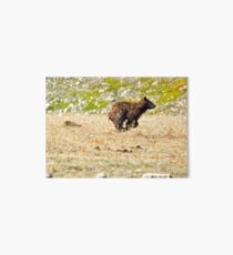 Bear on the Run Art Board