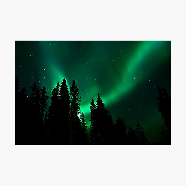 Item preview, Northern Lights in our Yard # 2 designed and sold by peaceofthenorth.
