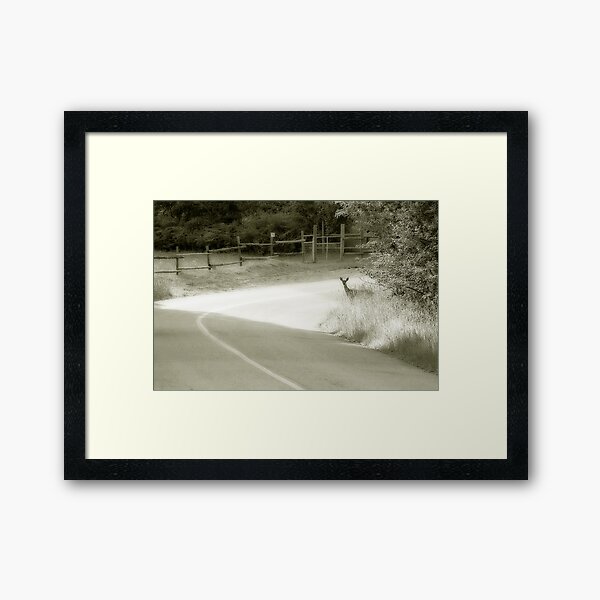 Deer Around The Bend Framed Art Print
