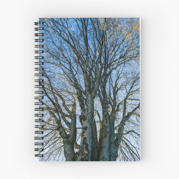 Item preview, Dramatic Tree and Sky designed and sold by Tim McGuire Fine Art.