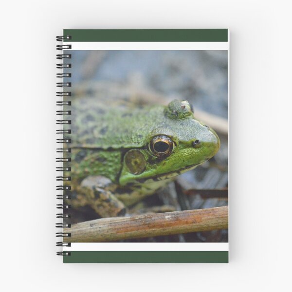 Item preview, Green Frog Face designed and sold by LizardSpirit.