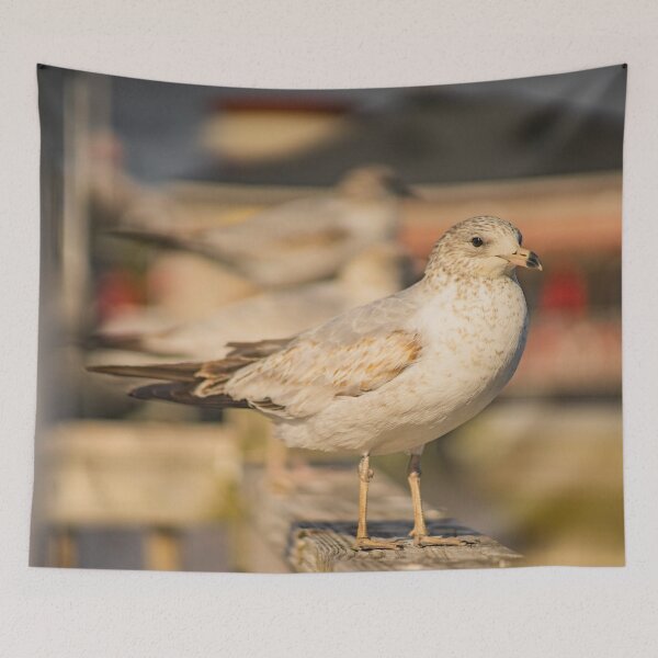 Item preview, Portrait of Gull designed and sold by KensLensDesigns.