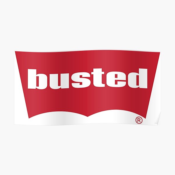Busted Words Millennials Use Poster