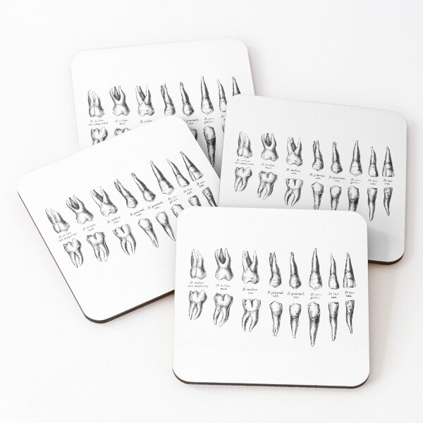 Item preview, Teeth designed and sold by RainyDayTees.