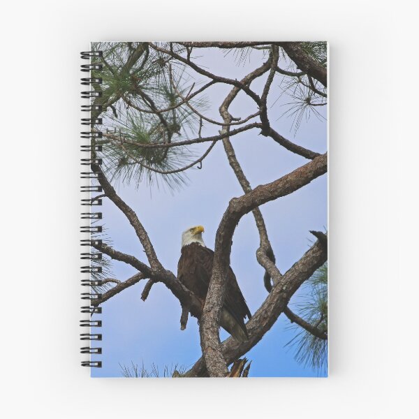 Item preview, Harriet of Fort Myers designed and sold by Michiale.