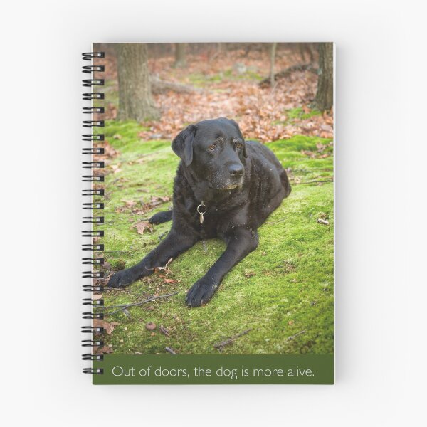 Item preview, Out of Doors, the Dog Is More Alive designed and sold by jsachs99.