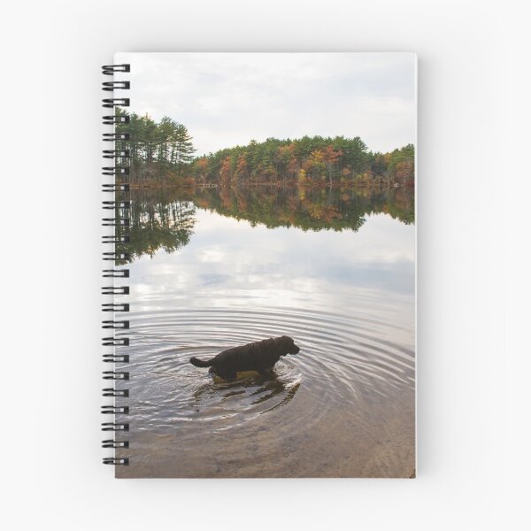 Item preview, Dog in Forest Pond designed and sold by jsachs99.