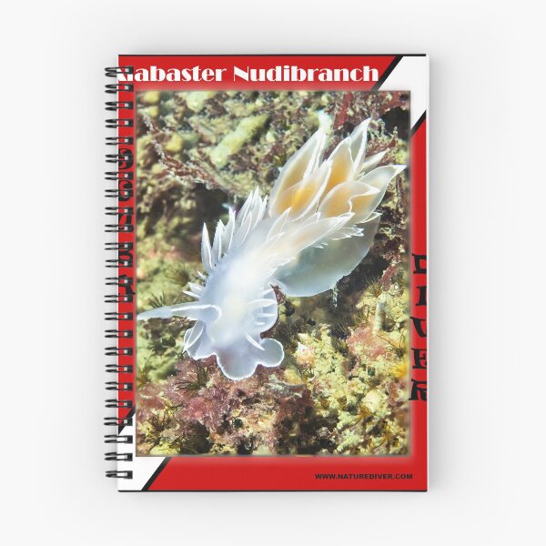 Item preview, Alabaster Nudibranch  designed and sold by naturediver.