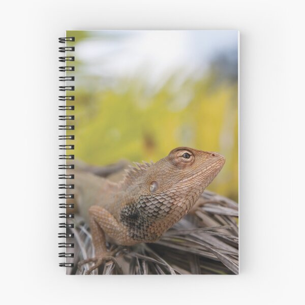 Item preview, Bearded Dragon - Pulau Pangkor, Malaysia designed and sold by John-Frum.