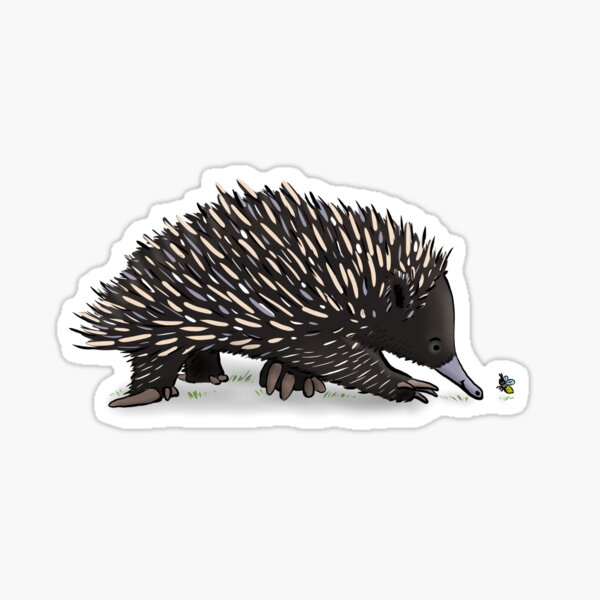 Cute echidna with bee cartoon Sticker