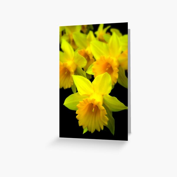 Gaze Greeting Card